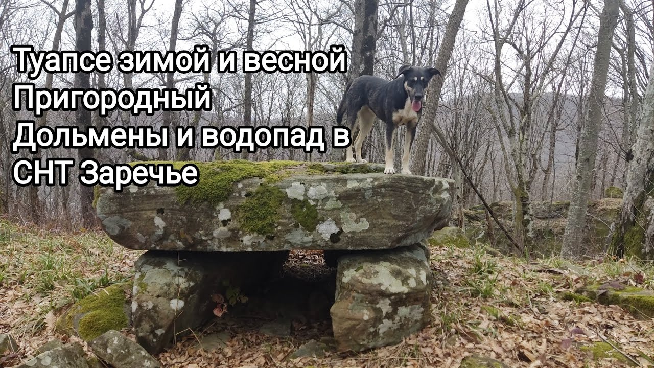 Туапсе сборные дома ландшафт