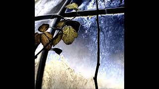 Après Lété - Olga Boh Op De Kunstraffinaderij 2023