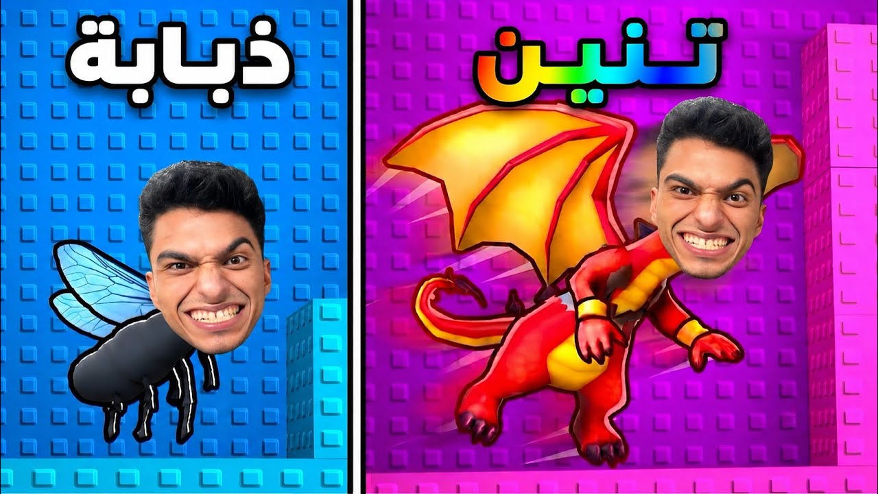 لو خيروك تبقي دبانه ولا تبقي تنين 🐉 | roblox