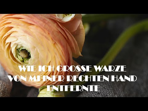 Video: So Entfernen Sie Die Lesezeichenleiste