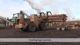 100% virgin wood fiber mulch Rainier Fiber Company Profile