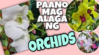 ORCHIDS BASIC CARE TIPS FOR BEGINNERS || ORCHIDS 101
