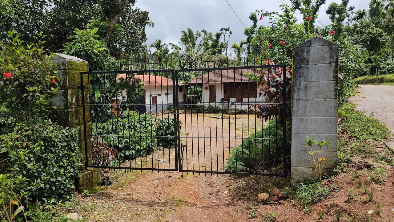 (#135) 🌍30 acre top top top condition coffee estate.👌& arreca plantation 🌍 superb locationಸಕ್ಲೇಶಪುರ