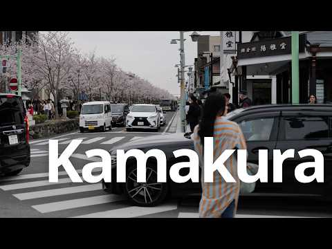 Kamakura Cherry Blossoms Food Tour Leica Vlog