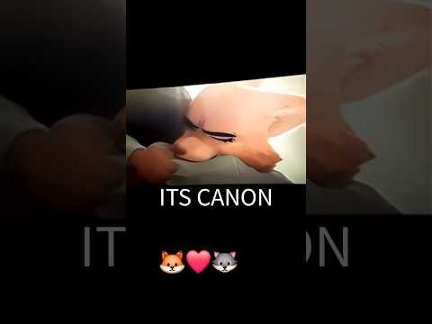 SPOILER Bad Guys 2 Wolf And Diane Scene