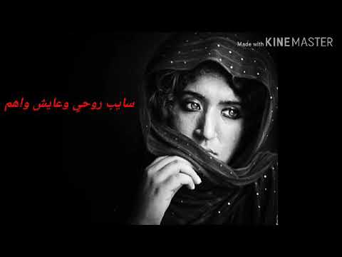 ريمكس حزييين مصطفى كامل فضل شاكر هاني شاكر شيرين