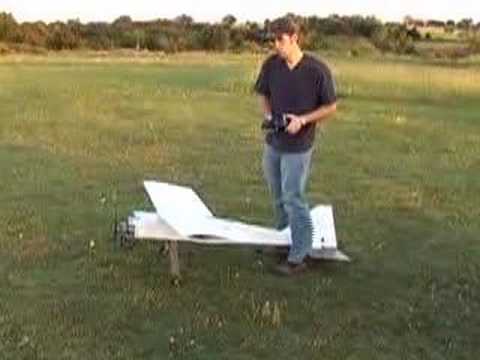 weed eater rc plane