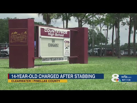 14-year-old charged with attempted murder after 2 students stabbed at Countryside high school