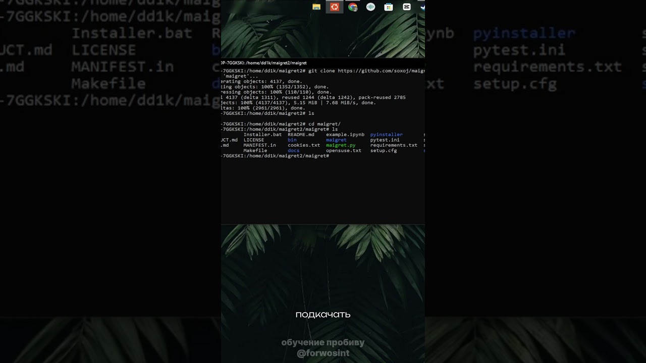 заинтересовался в сфере осiнта? пиши @forwosint в тг , жду тебя