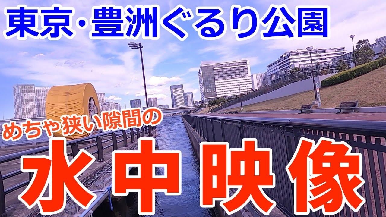 東京都 豊洲ぐるり公園 こんな狭い隙間に魚はいるのか確かめたい人生 Youtube