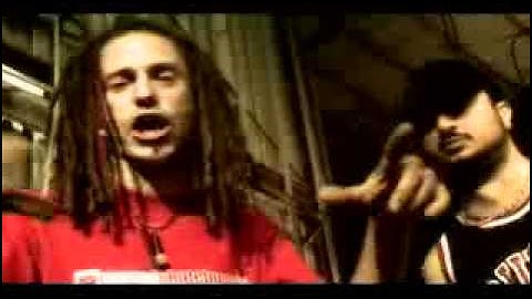 Cada uno a lo nuestro -  NdNo - Maestro Sho Hai - Rumba