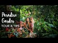 SUPER LUSH Tropical Garden TOUR & 12 Plant Care Tips with Junie Lee (1000+ plants)