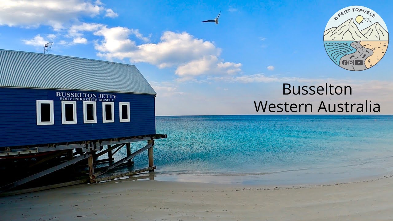 Busselton Sunflower Animal Farm Y62 Coil Delete WalkAround YouTube