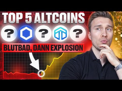 Die BESTEN Altcoins, bevor wir PARABOLISCH gehen! November 2024