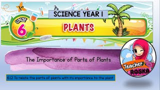 Science  Year 1 - Unit 6 : Importance of parts of plants