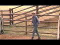 Outback Cattle Yard