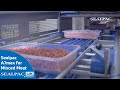 Sealpac a7max for minced meat  automation in the food industry