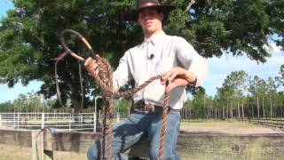 Explaining The Hackamore And Bosal