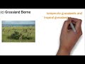 Exploring The Diversity Of Terrestrial Biomes And Their Unique Adaptations