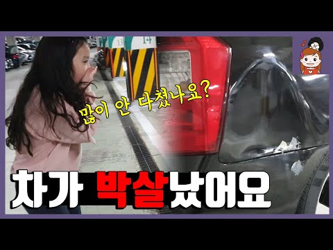 가족여행 일상영상 브이로그 vlog <strong>접촉사고</strong> <strong>자동차</strong> 교통사고 차사고소리 <strong>보험처리</strong>  l 프리티에스더 PrettyEsther