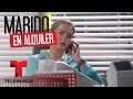 Marido en Alquiler | Capítulo 113 | Telemundo