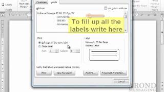 Using Word 2010 - Set Up Labels to Print