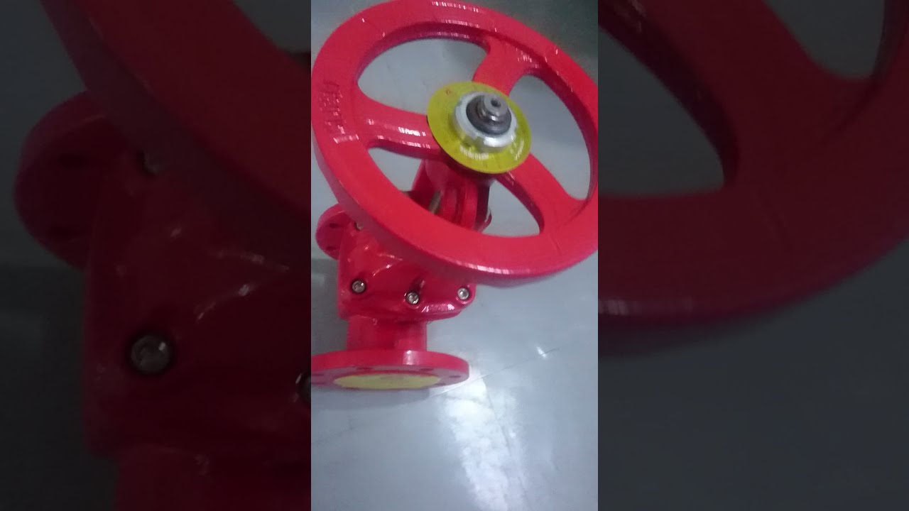 Osy Gate Valve 4 Inch