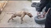 kickboxer defends himself against