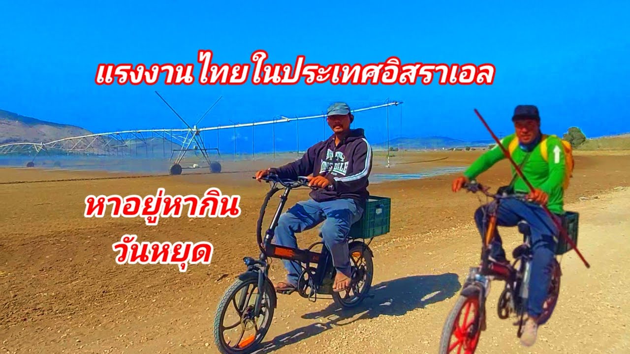 แรงงานไทยในประเทศอิสราเอลหาอยู่หากินพาชมบรรยากาศสวนเกษตรประเทศอิสราเอล