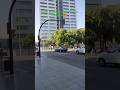 Calle Mauricio Moro Pareto Málaga 🇪🇸#calle #centro #malaga #españa #fyp #viral #viralvideo #spain