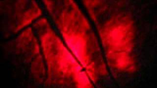 Interference fringes