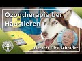 Das Potential biooxidativer Therapien – Tierarzt Dirk Schrader