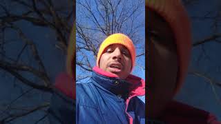 Somali Muslim Woman Iihan Omar In Minnesota Congress. My Thoughts