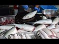 Milkfish Cutting Skills in Taiwan / 虱目魚切割技巧, 煎虱目魚肚 - Taiwan Traditional Market