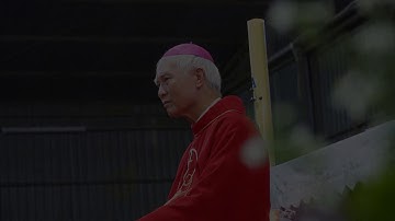 Lễ bổn mạng Giáo Họ Giuse Cảnh (02-09-2019) - Giáo Xứ Tân Triều