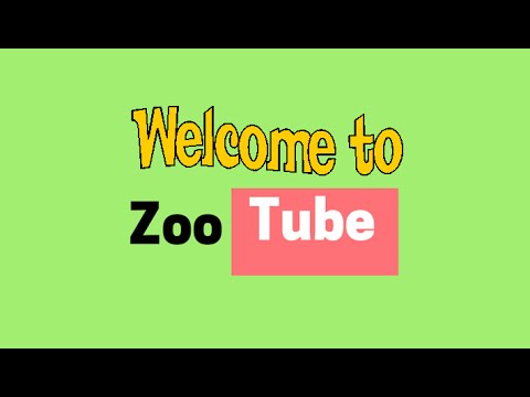 Welcome to ZooTube
