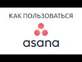 Как пользоваться Asana? Русская озвучка