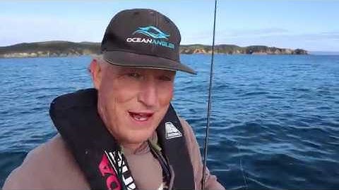 Advanced soft bait fishing tips