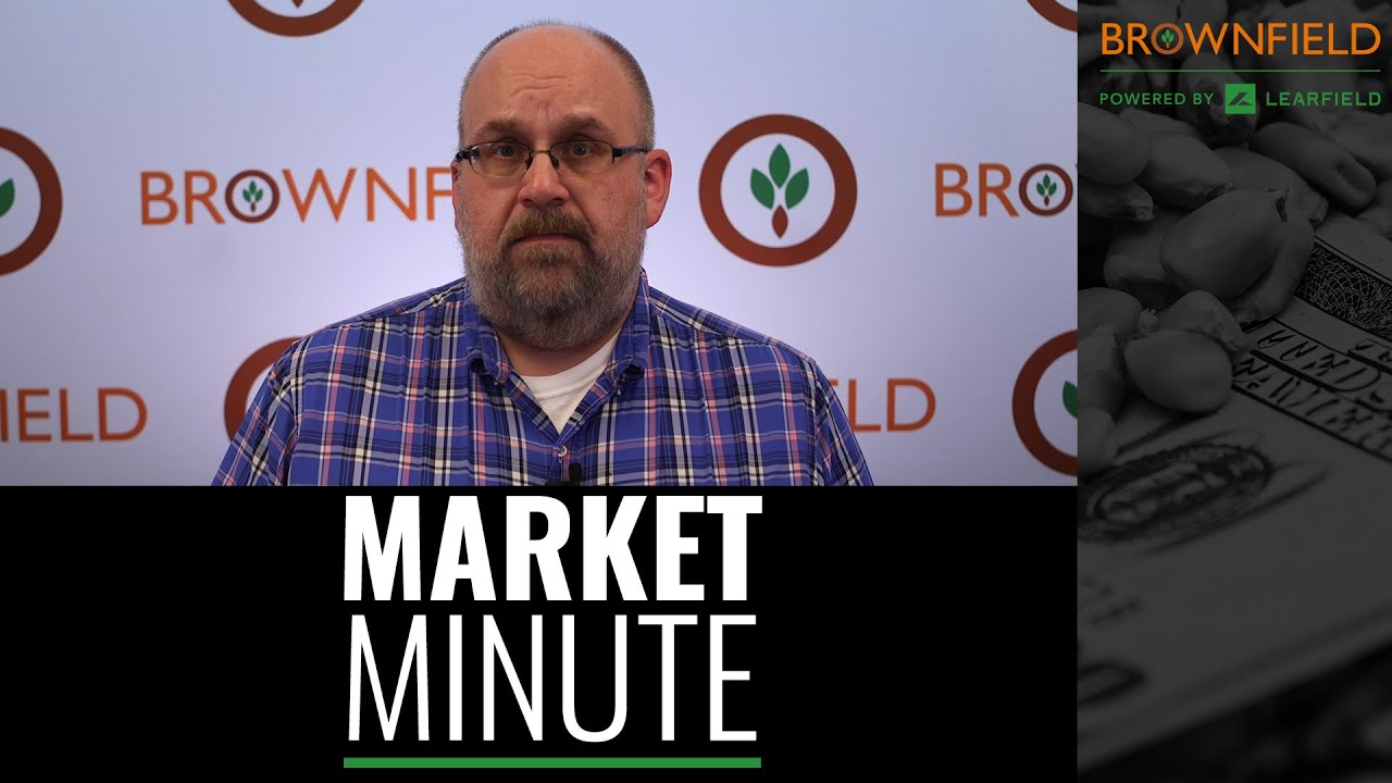 Another down day for grains and oilseeds: Market Minute for 2/27/23