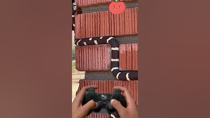Jogo da cobrinha atualizado  ultra realista🤗 #shorts #shortsvideo