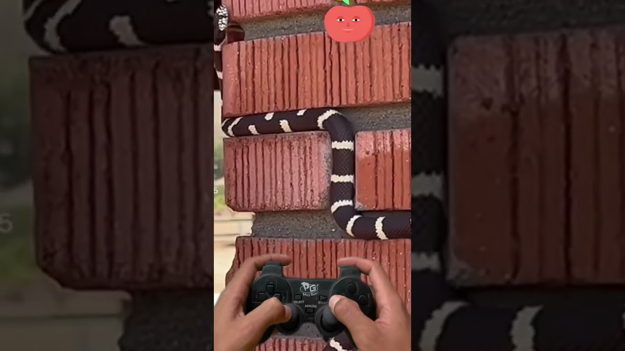 Jogo da cobrinha atualizado  ultra realista🤗 