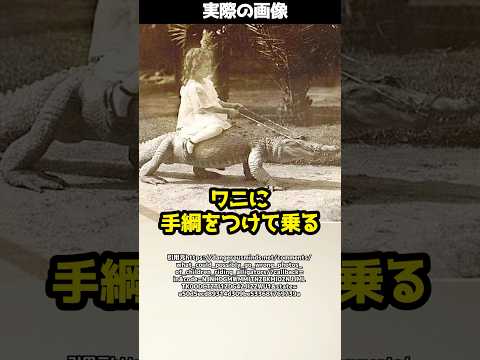 【衝撃】ワニと一緒にランチ！？アメリカに実在したヤバすぎる農場とは！#shorts