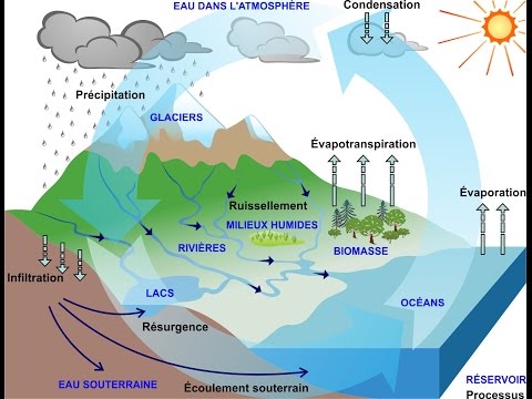 Vidéo: Quelle est la source d'eau douce la plus abondante sur Terre ?