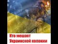 Кто мешает Украинской колонии