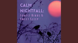 Tranquil Nighttime Harmony
