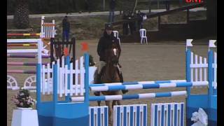 Download Lagu Dornella D Enfer  6 ans Sunshine Tour 2015 MP3