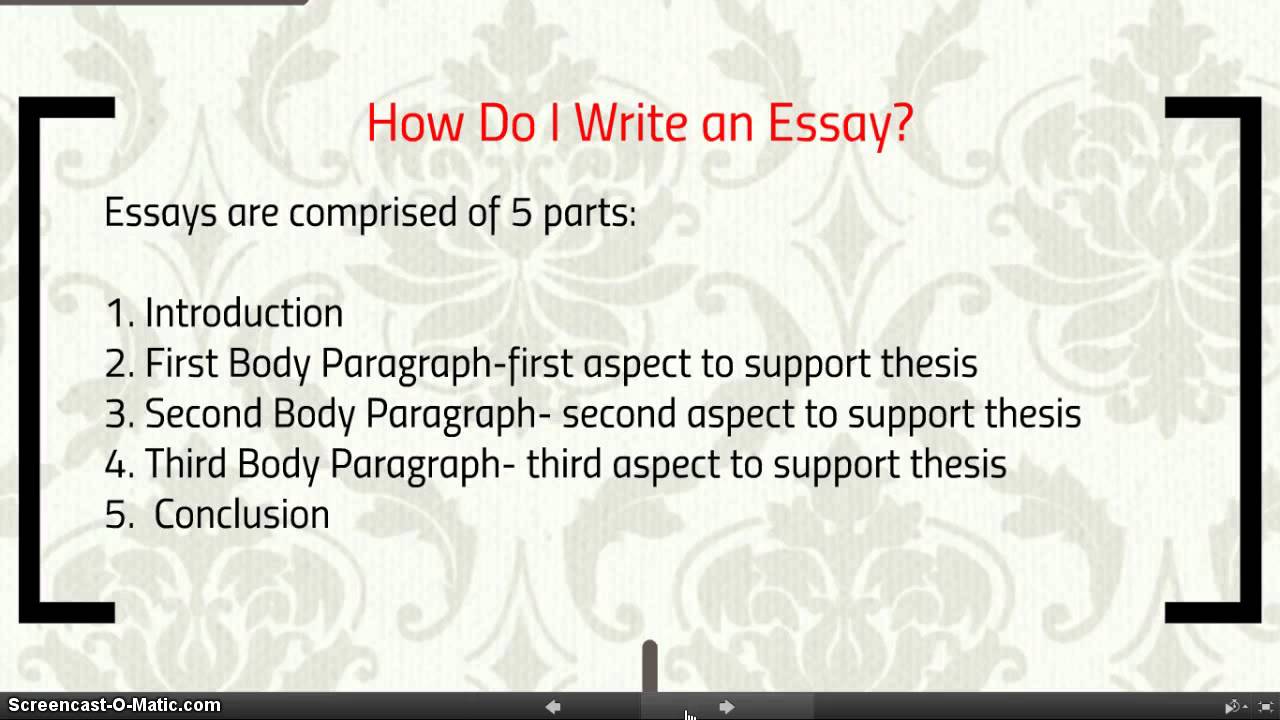 Writing Essays 