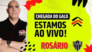 🔴 CHEGADA DO GALO EM ROSÁRIO AO VIVO COM BRENO GALANTE