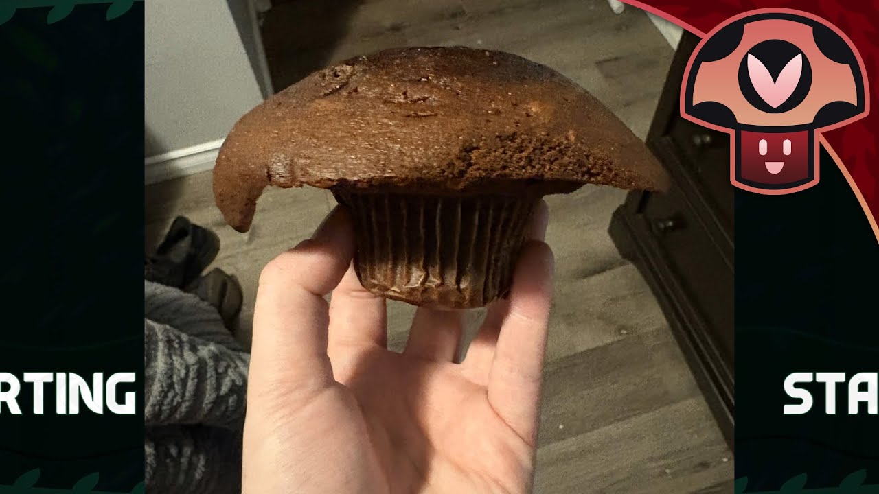 [Pre-Stream] Somebody PLEASE keep Vinny away from the kitchen