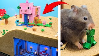 Cute Hamster Exploring Lego Minecraft Pig Farm by Major Hamster & Friends 26,161 views 10 months ago 6 minutes, 2 seconds